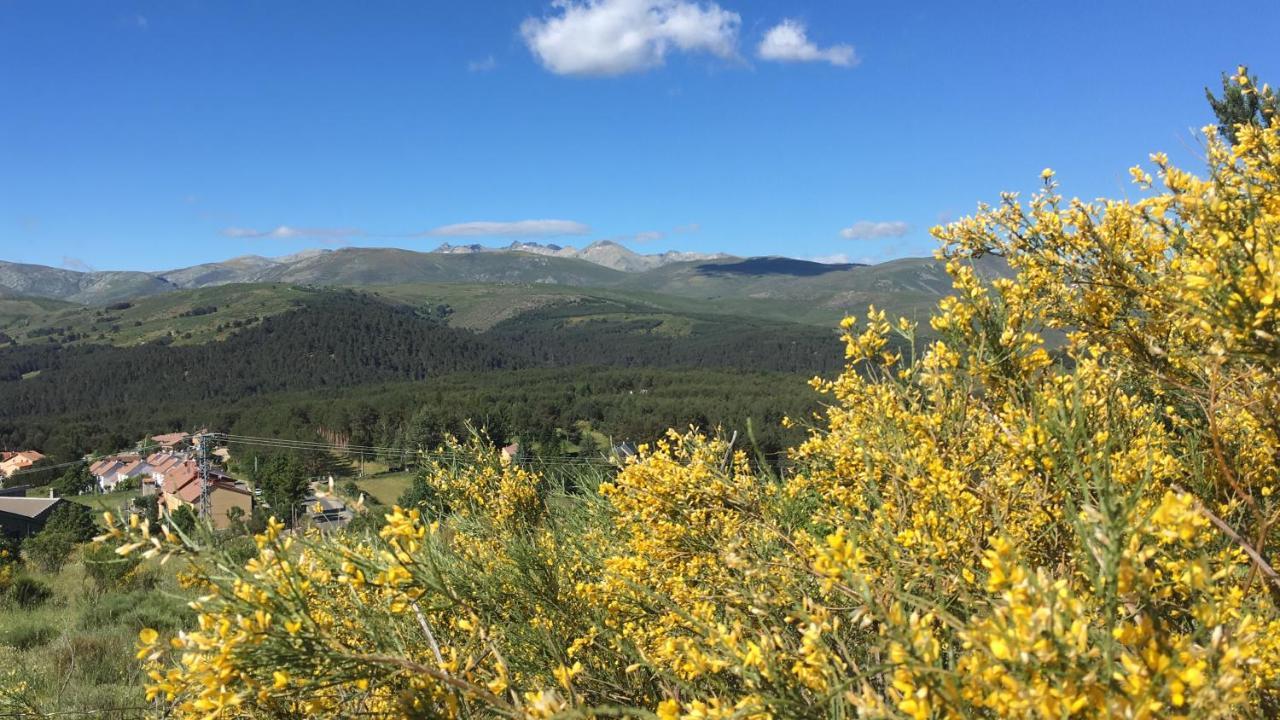 Artesano I Y III Vendégház Navarredonda de Gredos Kültér fotó