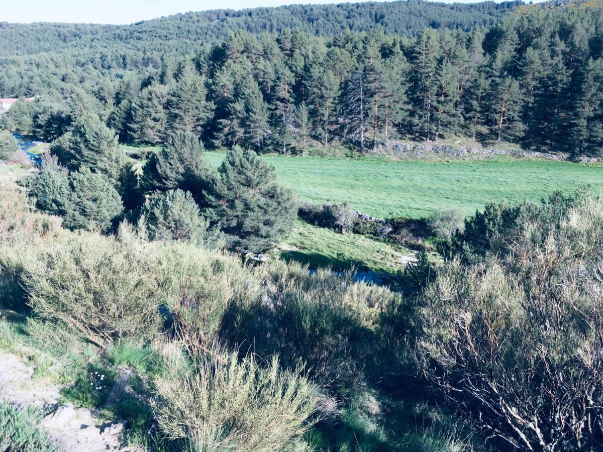 Artesano I Y III Vendégház Navarredonda de Gredos Kültér fotó